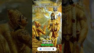 Bhagavad Gita Chapter 11 [upl. by Rodoeht]