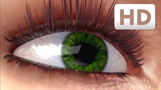 How eyelashes grow  Nanolash® eyelash serum Explainer Video [upl. by Ayila914]