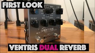 Ventris Dual Reverb by Source Audio  First Look [upl. by Naenaj]