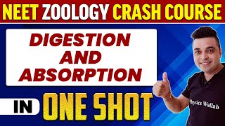 DIGESTION AND ABSORPTION in 1 Shot  All Concepts Tricks amp PYQs  NEET Crash Course  UMMEED [upl. by Paul70]