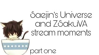 Saejins Universe and ZSakuVA stream moments part one [upl. by Ordnajela]