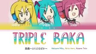 Hatsune Miku  Triple Baka  Lyrics KanRomEng [upl. by Alcina]