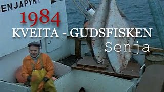 Kveita  Gudsfisken Kveitefiske vest av Senja 1984 [upl. by Sheba869]