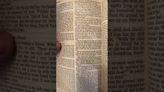 Bible Reading Old Testament 2 Samuel 12 historical [upl. by Xxam157]