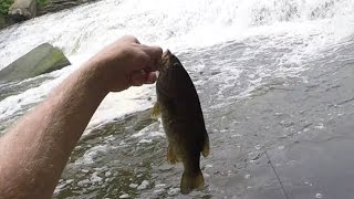 Cuyahoga River Ohio Smallmouth Bass June 4 2016 [upl. by Vachel]