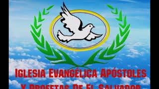 DOCUMENTAL DE LOS PIONEROS DEL EVANGELIO EN LA IGLESIA EVANG APÓSTOLES Y PROFETAS DE EL SALVADOR [upl. by Nylarac710]