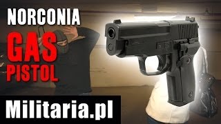 Pistolet Gazowy Norconia Gas Pistol  Militariapl [upl. by Oiretule]