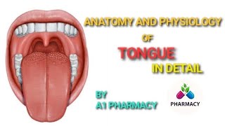 tongue anatomy and physiology 2 taste buds [upl. by Dwinnell]