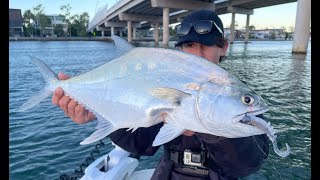 Maroochy River Lure Fishing HUGE FISH CAUGHT [upl. by Ettezzil]