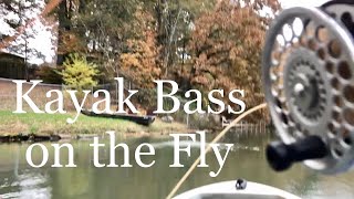 Kayak Bass Fly Fishing Stripping Streamers [upl. by Benedikta901]