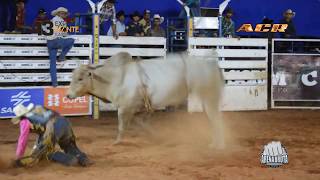 Final do Rodeio de Santa Cruz do Monte CasteloPR 2019 [upl. by Hiett198]