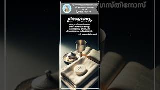 തിരുപാഥേയം emmausretreatcentremallappally syromalabar jesusstatus thirupatheyam [upl. by Laughry]