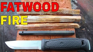 How To Use Fatwood Fatwood For Fire Fatwood For Beginners [upl. by Kat]