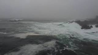 Tsunami hits Ucluelet Canada January 15 2022 [upl. by Marozik]