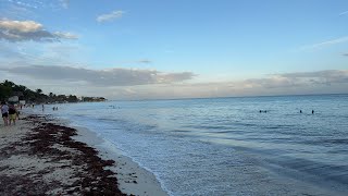 Playa del Carmen🔴En Vivo Llega sargazo ￼y Quinta Avenida [upl. by Edualc664]