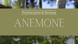 How to Pronounce Anemone  British Pronunciation amp Meaning [upl. by Sielen]