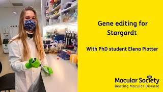 The gene editing research seeking a Stargardt treatment [upl. by Kcirdehs]