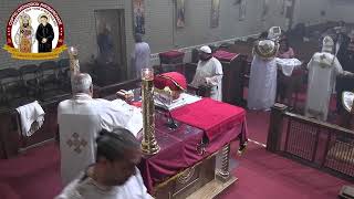 FrYostos El Antony amp Fr Pishoy Kamel Coptic Orthodox Church Holy Liturgy Wed 102324 القداس الإلهي [upl. by Carlyle]