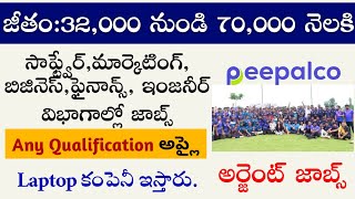 Peepalco Company Various Job Recruitment 2024  Private Jobs Telugu  12th Degree Pass Jobs Telugu [upl. by Aeuhsoj]