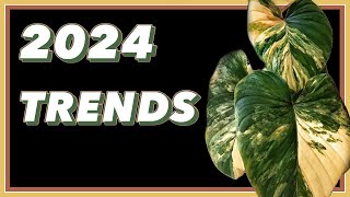 Hottest Plant Trends for 2024 ft onlyplants [upl. by Yerg]