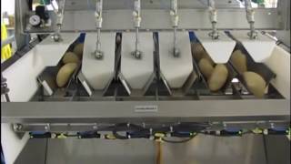 Ilapak Vegatronic 1000 for packaging bread rolls [upl. by Tonie]