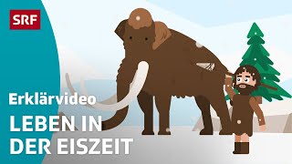 Die letzte Eiszeit – einfach erklärt  Kindervideos  SRF Kids [upl. by Georglana]