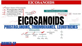 Eicosanoids Prostaglandins Thromboxanes and Leukotrienes [upl. by Brita]