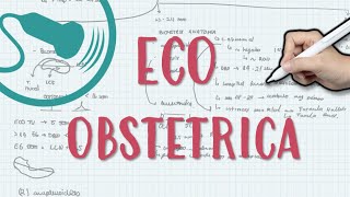 ECOGRAFIA OBSTETRICA [upl. by Notak880]