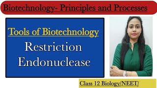 Restriction Endonuclease  Tools of rDNA TechnologyBiotechnology Principles and ProcessesClass 12 [upl. by Nosral]