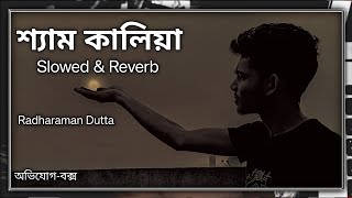 শ্যাম কালিয়া Shyam Kaliya Bangla old song  Slowed amp Reverb অভিযোগবক্সAvijogbox [upl. by Eadrahc359]