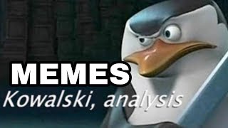 KOWALSKI ANALYSIS MEMES COMPILATION [upl. by Issiah908]