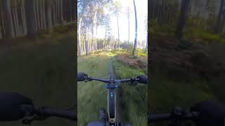 Mountain Bike Enduro Trail [upl. by Aivull]