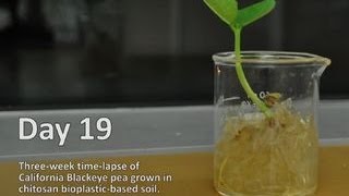 Bioplastics in action Time lapse video [upl. by Lelah]