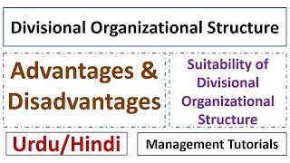 What is Divisional Organizational Structure SuitabilityAdvantagesDisadvantagesUrduHindi [upl. by Oiragelo753]