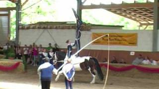 Süddeutsche Meisterschaft Voltigieren 2010 [upl. by Fredenburg]