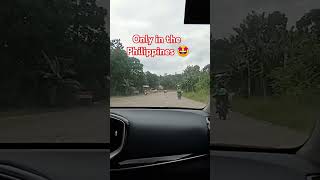 subscribers trip driving only in the Philippines ❤️ [upl. by Acirtap]