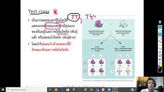 EP10 Monohybrid Dihybrid amp Test cross [upl. by Garlen757]