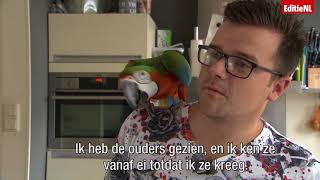 Kun je een papegaai als huisdier houden  EDITIE NL [upl. by Akihc]