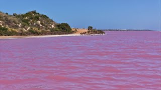 Hutt Lagoon  The Pink Lake  Yallabatharra  WA [upl. by Anuat]