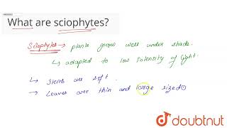 What are sciophytes  CLASS 12  ORGANISMS AND POPULATIONS  BIOLOGY  Doubtnut [upl. by Nahta]