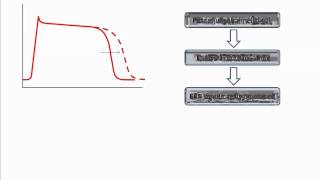 Class III antiarrhythmics [upl. by Eornom710]