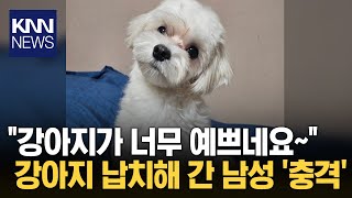 quot너무 귀여워 잠깐만 볼게요quot 산책 중인 반려견 데려간 남성…충격  KNN [upl. by Nnyla]