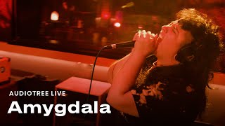 Amygdala  Floricanto  Audiotree Live [upl. by Trebuh]