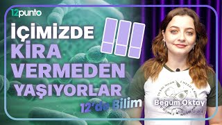 İçimizde kira vermeden yaşıyorlar │Begüm Oktay │12de Bilim [upl. by Llehsam487]