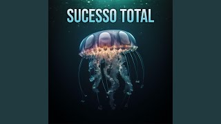 Sucesso Total feat Beats de Felicidades [upl. by Ahcsropal]