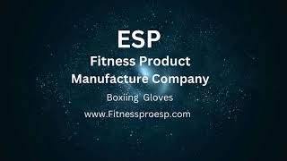 ESP Boxing Gloves [upl. by Ydnelg828]