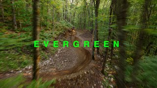 EVERGREEN [upl. by Rowe]