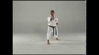 1st Kata  Taigyoku Shodan [upl. by Harmonia]