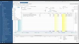 Entity fast preview  Entersoft Business Suite  EN [upl. by Yelwah]