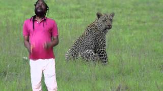 An African Witchdoctor dancing with a Leopard [upl. by Ahsikar]